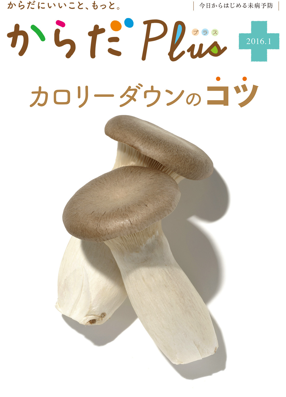 からだPlus 2016年1月号